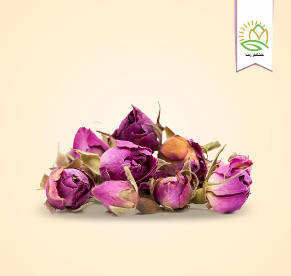 غنچه گل سرخ